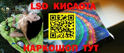 шишки Аргун