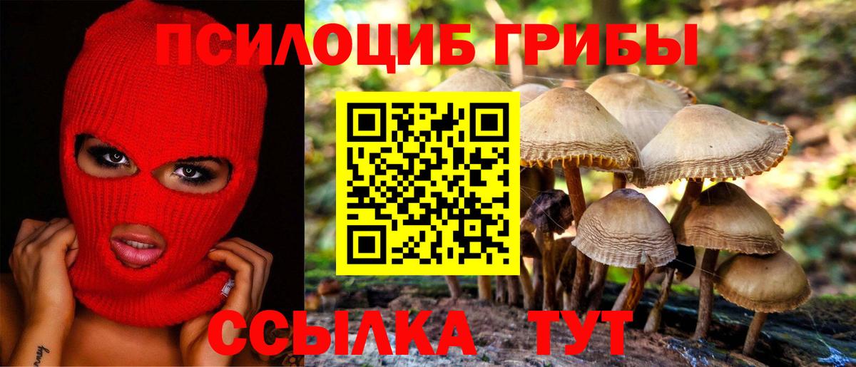 Галлюциногенные грибы MAGIC MUSHROOMS Астрахань